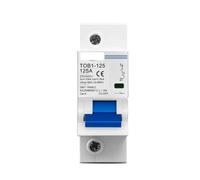 Mini disjoncteur 1P AC MCB TOB1-125 230/400V ~ 50Hz/60Hz, 80A 100A 125A, courant élevé 10kA PA66, RAIL DIN 35MM(100A)