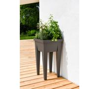 Mini-jardinière 'VEG&Table' Aromatique, anthracite