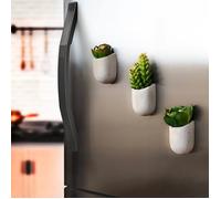 Gift Republic GR450067 Jardinière aimantée Gris 5 x 16,5 x 13 cm