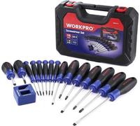 Mini-jeu de vis professionel, magnétique, 16 pièces, Cr-V, avec coffret