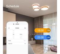 Mini Module de commutation intelligent, wi fi, Bluetooth, 2.4 ghz, télécommande, commande vocale, fonctionne avec Alexa Google Home