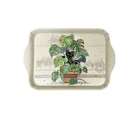Mini plateau rectangulaire chaton monstera