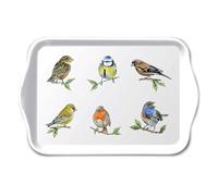 Mini Plateau Vide Poche 20.5 x 13.5 cm - Oiseaux