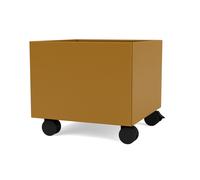 Mini Play Boîte de rangement Amber Montana QUICK SHIP - 5715288152185