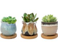 Mini-pots en céramique de 6,5 cm avec trous de drainage et tige de bambou