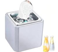 Mini Refroidisseur de Verre, Refroidisseur Instantané en Acier Inoxydable 304, Refroidissement Rapide en 6 s avec LED pour Cocktail, Bière et Vin, Refroidisseur Compact de Bar