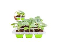 Mini-Serre 9 Cellules avec Couvercle - Plateau à Semis Réutilisable 5,6cm - Kit Germination PET sans BPA pour Légumes et Fleurs