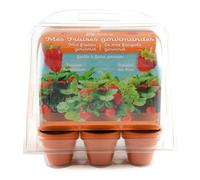 Mini-serre - RADIS ET CAPUCINE - 6 pots - Kit complet écoresponsable - Pour intérieur & balcon