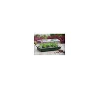 Mini-serre rigide - NATURE - Couvercle ventilé - H18x37x24 cm - Vert