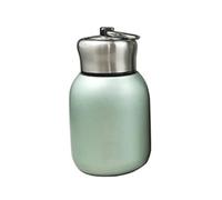 Mini thermos de voyage en acier inoxydable pour l'intérieur et l'extérieur 300 ml Vert
