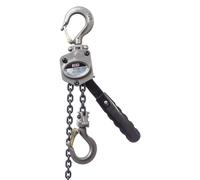 Mini-treuil de levage, capacité 1/2 tonne, câble de 10 pieds, acier, actionnement manuel
