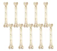 Miniature PVC Skeleton Ornaments for Backpacks and Car Mirrors | Halloween Crafting Tiny Skeleton Bones Keychain Car Rearview Mirror Professionals Beginners