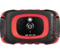 MiniFinder Rex Traceur GPS traceur d'animaux domestiques, Live Tracking noir, rouge 1 pc(s)