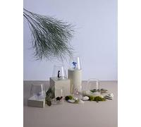 Minizoo Paris Verre à Eau avec figurines animaux | Gobelet | Lot de 6 | 350cc | Fête | Cadeaux de Noël | Figurines en Verre de Murano pour la décoration intérieur