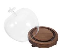 minkissy Cloche Décorative en Verre avec Base Bois, Dôme Anti-poussière | Verre Transparent, Usage Table ou Étagère, Installation Facile, Style Marron, Protection Solide