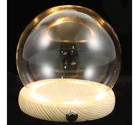 minkissy Dôme de Verre Décoration Élégante Socle en Bois Lumineux et pour Affichage de Fleurs Immortelles Maison Diverses Occasions