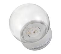minkissy Dôme en Verre Blanc Fleur Préservée et Éclairage LED, Cloche Décorative Anti-poussière pour Occasions Spéciales et Anniversaires