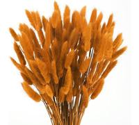 Minnhua 120pcs Fleurs Séchées Herbe de la Pampa Orange Pampas Sechees Decoration Naturel Fleurs Séchées Bouquet Fleur Fleur pour Decoration Maison nniversaire Mariage