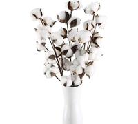 Minnhua 3PCS Fleur de Coton Fleurs Sechees Naturelles 30 Têtes Branche de Coton Naturelle Tige Coton Fleur Naturelle Blanc Plante Naturel Déco pour Vase Balcon Mariage Maison Composition Floral 55CM
