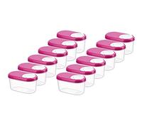 MiraHome lot de 12 boîtes à épices boîtes verseuses boîtes de conservation qualité autrichienne (roses, 0,14 l)