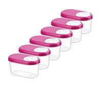 MiraHome lot de 6 boîtes à épices boîtes verseuses boîtes de conservation qualité autrichienne (roses, 0,14 l)