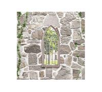 vidaXL Miroir de jardin Sable 70x30 cm Fer pour utilisation extérieure