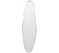 Miroir Mural Moderne à Suspendre avec Crochets Cadre Métal Forme Irrégulière en