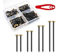 MirraSwit Lot de 120 clous pour tableau - 20/25/30/40 mm - Clous de maçonnerie pour mur de briques - Avec fixateur - Doré - Avec boîte pour bois, images, miroirs, décorations d'intérieur