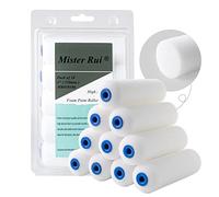 Mister Rui Lot de 10 mini rouleaux de peinture en mousse haute densité Blanc 10 cm