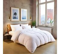 MistyMorning Ensemble de Housse de Couette Lisa, Douce et, 100% Coton Égyptien 200 Fils (Blanc, Double)