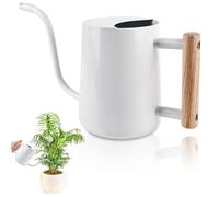 Mitening Arrosoir pour plantes d'intérieur, 1 l, en acier inoxydable, avec long bec et poignée en bois stable, arrosoir vintage pour plantes succulentes, balcon, bureau, salon
