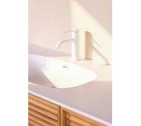 Mitigeur de lavabo en inox ELLIOT modèle bas cartouche céramique Ø25 blanc mat BASS aérateur économie d'eau 5L/min | fixation facile pommeau manuel | rosace | 2 flexibles d'alimentation