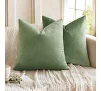 MIULEE Lot de 2 Housses de Coussins en Velours Décoratif Canapé Taie d'oreiller Super Lisse Doux Decoration Maison Salon Chambre pour Canapé 2 Pièces 50X50CM Vert Haricot