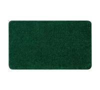 MIULEE Tapis Salle de Bain Tapis Antidérapant Vert Foncé 50x80cm | d'Entrée Tapis de Douche Absorbant Tapis Moelleux Microfibre WC Toilette Baignoire Sortie Cuisine Salon Chambre