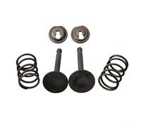 MKTOLHUs Kit de retenue de ressort de moteur de tondeuse à gazon avec ressorts de soupape et colliers de serrage pour moteurs GX200 168F 170F 5.5-6.5HP et générateur 1KW-3KW ou remplacement d'eau