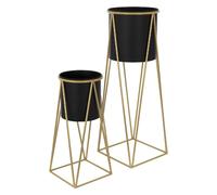 ML-Design Blanc/Or