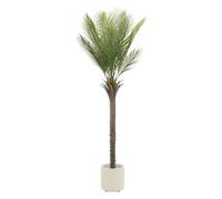ML-Design Palmier artificiel 180 cm