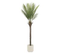 ML-Design Palmier Artificiel 180 cm, Plante Artificielle Grande, Palmier Tropical Artificiel, Fausse Plante en Plastique, Aspect Naturel, Arbre en Pot, Décoration pour Intérieur/Extérieur Salon Bureau