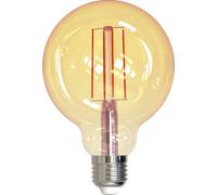 MLI 401078 - Lampe filament LED E27, 9 W, 850 lm, 2 2000 K, à intensité varia