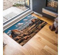 MLSOWM Tapis de Porte d'Entrée 50 x 80 cm Paillasson à Profil Bas Forêt De Pierres du Désert Moquette Antidérapant Lavable Photographie Réaliste Tapis de Sol pour Entrée, Couloir, Chambre, Bleu