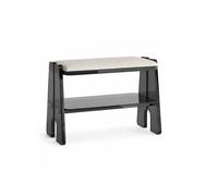 Mmt00go Banc à Chaussures en Acrylique, Assise Rembourrée et 2 Niveaux | Petit Banc de Rangement Moderne pour Couloir, Chambre, Salon et Petit Appartement(Black,60cm)