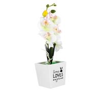 Mobestech Plante en Pot Phalaenopsis Simulée Orchidée Simulation Faux Patio Plantes Usine pour L'extérieur Réaliste Petit Fausses Fleurs Bonsaï Mis en Pot Artificiel Plastique Blanche