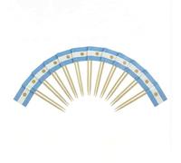 Mobi Lock 120 Pièces de Pics à Cocktail avec Drapeau de l’Argentine - 6,5 cm (2,5 po) Cure-Dents en Bambou avec Mini-Drapeaux - Pics de décoration pour Amuse-bouches et Boissons
