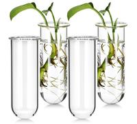MOBUTOFU Tubes à Eau Compact et Résistant pour Plantes Hydroponiques Vase de Propagation Ensemble de 4 en Verre Transparent pour Jardin et Bureau