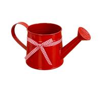 Modern Plant Watering Can - 1l Metal Pot, Compact Decorative Waterings Tool, Ideals for Indoors Plaants, Flowers, and Bonsai | Ideal for Home Office Balcony Garden Outdoor Indoor Plants Care