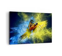 Moderne Impression sur Toile 100x70cm Image Tableau Decoration Murale perroquet oiseau plume Grand Tableaux Decoratifs Muraux Chambre Horizontal Deco Cadre Décoration Salon Art Wall AA100x70-3666