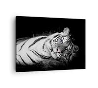 Moderne Impression sur Toile Blanc Tigre Noir Et Blanc Image Tableau Decoration Murale 70x50cm Deco Cadre Décoration Salon Chambre Cuisine Horizontal Tableaux Decoratifs Muraux Art Wall AA70x50-4247