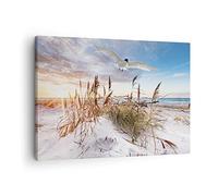 Moderne Impression sur Toile Mouette Mer Côte Image Tableau Decoration Murale 70x50cm Deco Cadre Décoration Salon Chambre Cuisine Horizontal Tableaux Decoratifs Muraux Art Wall Decor AA70x50-4902