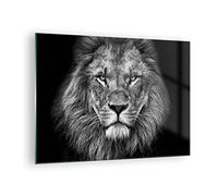 Moderne Impression sur Verre Portrait Lion Noir Et Blanc Image Tableau en Verre Decoration Murale 70x50cm Deco Cadre Salon Chambre Cuisine Horizontal Petit Tableaux Decoratifs Muraux Art GAA70x50-4494