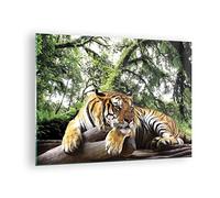 Moderne Impression sur Verre Tigre Jungle Repos Image Tableau en Verre Decoration Murale 70x50cm Deco Cadre Salon Chambre Cuisine Horizontal Petit Tableaux Decoratifs Muraux Art Wall GAA70x50-4166